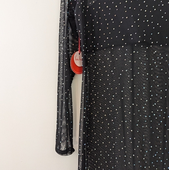 Anthropologie Eva Franco Starlight Long-Sleeve Sheer Tunic Dress - Picture 6 of 13